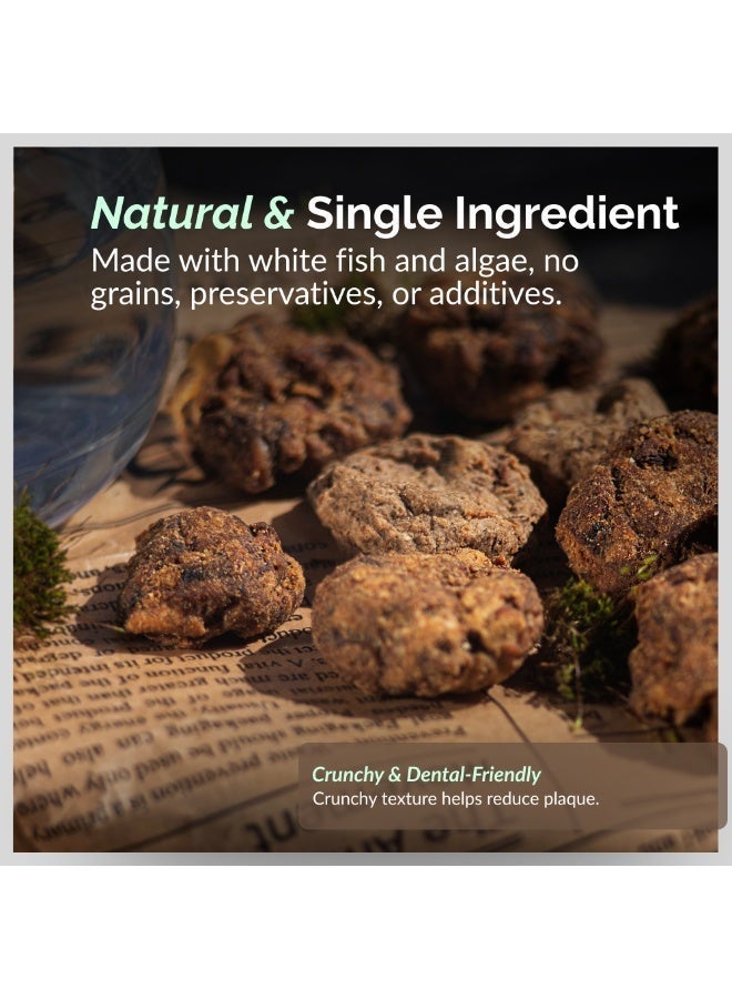 O2Pets Dog and Puppy Fishballs with Algae Natural Treats – 90% Cod Fish with Spirulina and Chlorella – Active Immune Support & Green Superfood Snack, High-Protein Grain-Free Reward 90g - Image 4